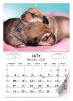 Opakowanie Kalendarz 2025 ścienny Lux Szczeniaki