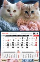 Okładka książki Kalendarz 2025 Trójdzielny jednodzielny Kotki
