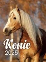 Opakowanie Kalendarz 2025 wieloplanszowy B4 Konie