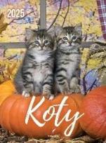 Opakowanie Kalendarz 2025 wieloplanszowy B4 Koty