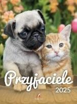 Opakowanie Kalendarz 2025 wieloplanszowy B4 Przyjaciele