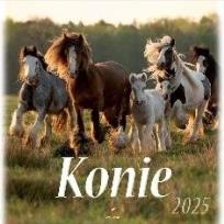 Opakowanie Kalendarz 2025 wieloplanszowy Konie