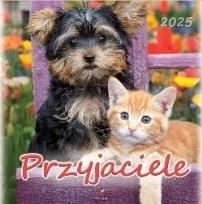 Opakowanie Kalendarz 2025 wieloplanszowy Przyjaciele