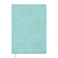 Opakowanie Kalendarz książkowy 2024 A5 turkusowy EASY