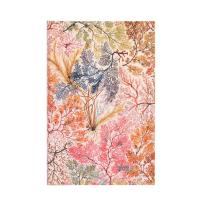 Opakowanie Kalendarz Paperblanks 2025 Anemone Midi tygodniowy HOR