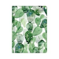 Opakowanie Kalendarz tygodniowy 2023 Zielone kaktusy ALBI