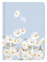 Opakowanie Kalendarz tygodniowy B6 Stokrotki ALBI