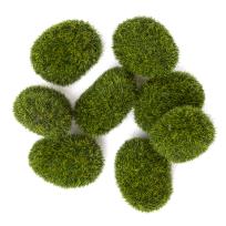 Opakowanie Kamyki z mchem 8sztuk