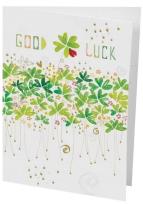 Opakowanie Karnet B6 + koperta MO7428X1 Powodzenia