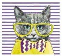 Opakowanie Karnet KW Kot seledyn