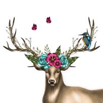 Opakowanie Karnet Swarovski kwadrat CL0780/CL0325