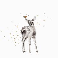 Opakowanie Karnet złocony KW Jelonek i ptaszek