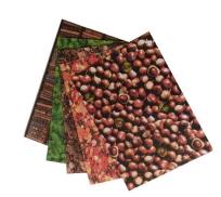 Opakowanie Karton 300g Natura 24x34cm 5 arkuszy