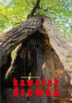 Okładka książki Kawałek drewna