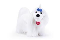 Opakowanie Klasyczne Maltańczyk M