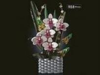 Opakowanie Klocki - kwiatki w doniczce