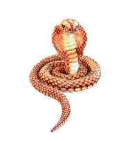 Opakowanie Kobra złota 280cm