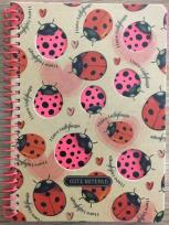 Opakowanie Kołonotatnik B6/80K kratka kraft Biedronki