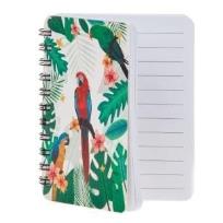 Opakowanie Kołonotatnik papuga ara (6szt)