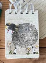 Opakowanie Kołonotes A7 SSN42 Owca Amos