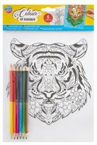 Opakowanie Kolorowanie po numerach + kredki, wzór ZWIERZĘTA.