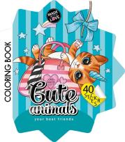 Opakowanie Kolorowanka Curly z naklejkami BR Gwiazdka 2207