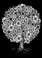 Opakowanie Kolorowanka zamszowa L 10