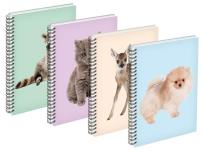 Opakowanie Kołozeszyt A6/80K linia mix