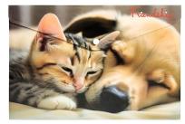 Opakowanie Koperta A4 PP na napę z nadrukiem Friendship