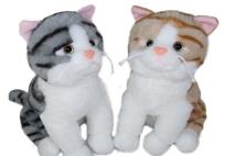 Opakowanie Kot 35cm MIX