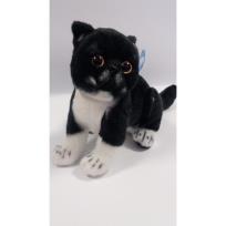 Opakowanie Kot exotic czarno biały 26cm