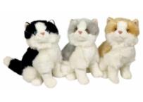 Opakowanie Koty 30cm MIX