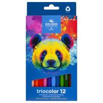 Opakowanie Kredki Triocolor Niedźwiedź 12 kolorów