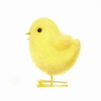 Opakowanie Kurczaczek dekoracyjny Deco 7,5 cm