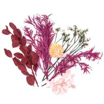 Opakowanie Kwiaty suszone dekoracyjne bordowy różowy