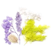 Opakowanie Kwiaty suszone dekoracyjne liliowy biały