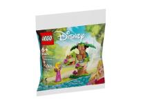 Opakowanie LEGO(R) DISNEY 30671 Leśny plac zabaw Aurory