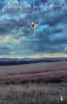 Okładka książki Lejek (Wariacje)