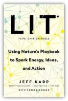 Okładka książki LIT