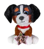 Opakowanie Lumo Bernese mountain dog Bruno classic