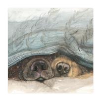 Opakowanie Magnes FM210 Noski psów