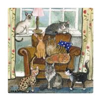 Opakowanie Magnes FM213 Dom pełen kotów