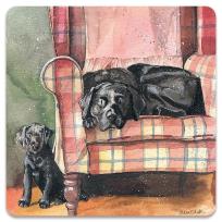 Opakowanie Magnes FM247 Psy Sophie&Scarlett