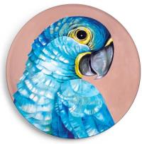 Opakowanie Magnes Modroara hiacyntowa