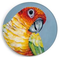 Opakowanie Magnes Papuga