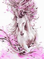 Opakowanie Malowanie po numerach 30x40cm Magiа