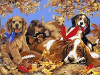 Opakowanie Malowanie po numerach - 30x40cm Psy