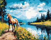 Opakowanie Malowanie po numerach 40x50 Koń