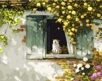 Opakowanie Malowanie po numerach 40x50 Kot