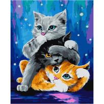 Opakowanie Malowanie po numerach 40x50 Kotki
